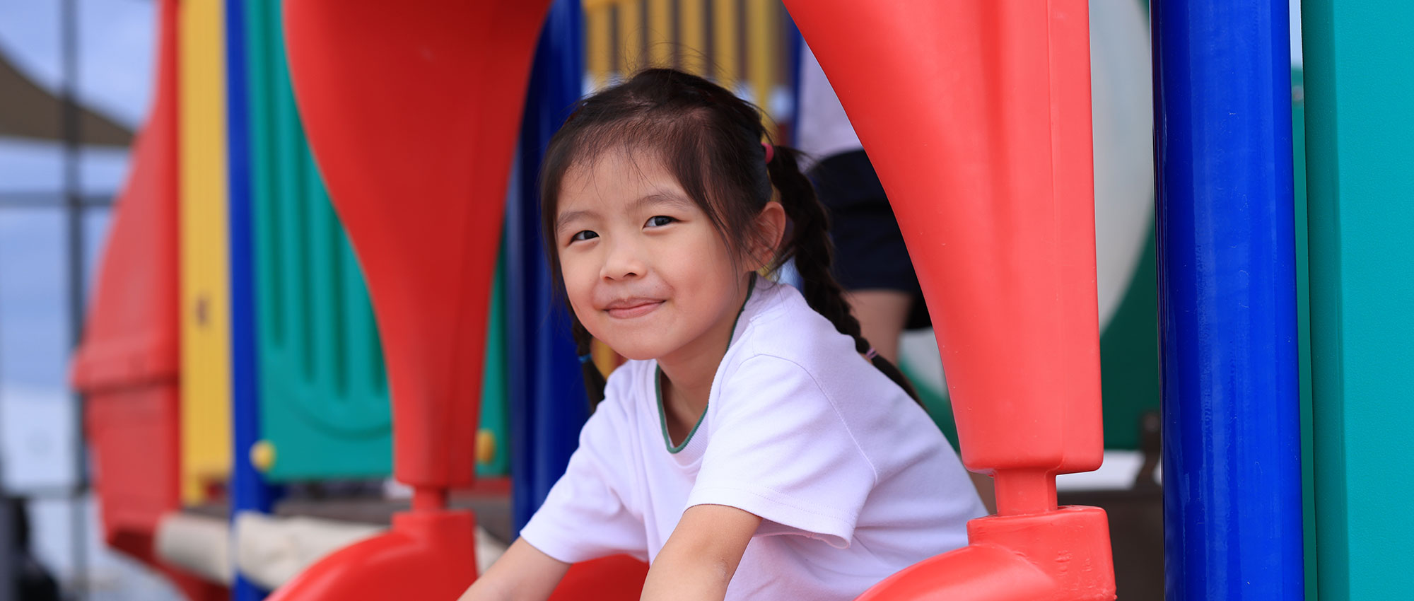 The International School of Choueifat - Ajman - Building Features