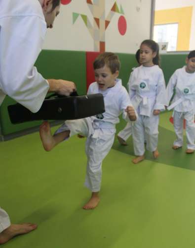 Tae Kwon Do